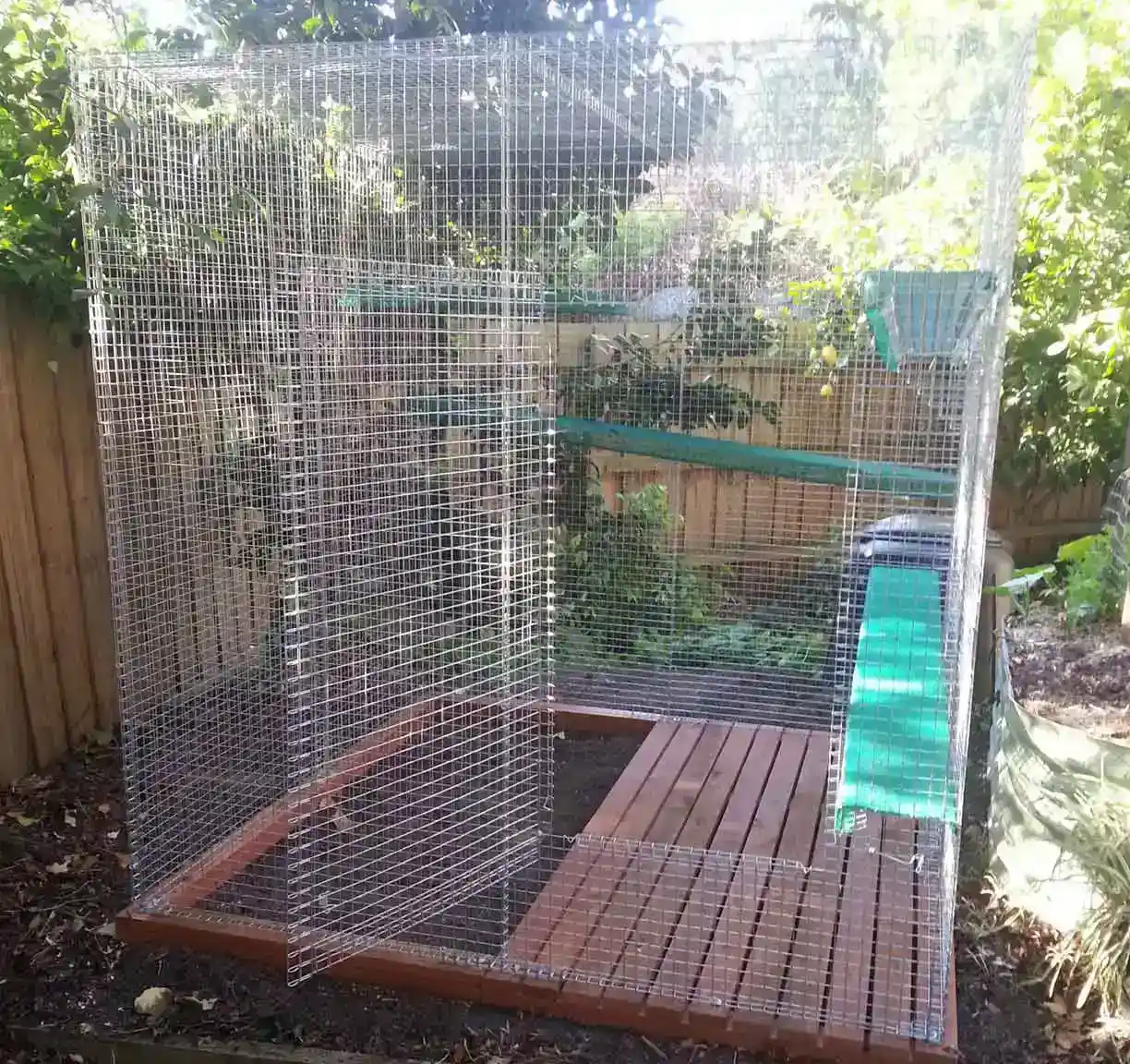 castle cat enclosure