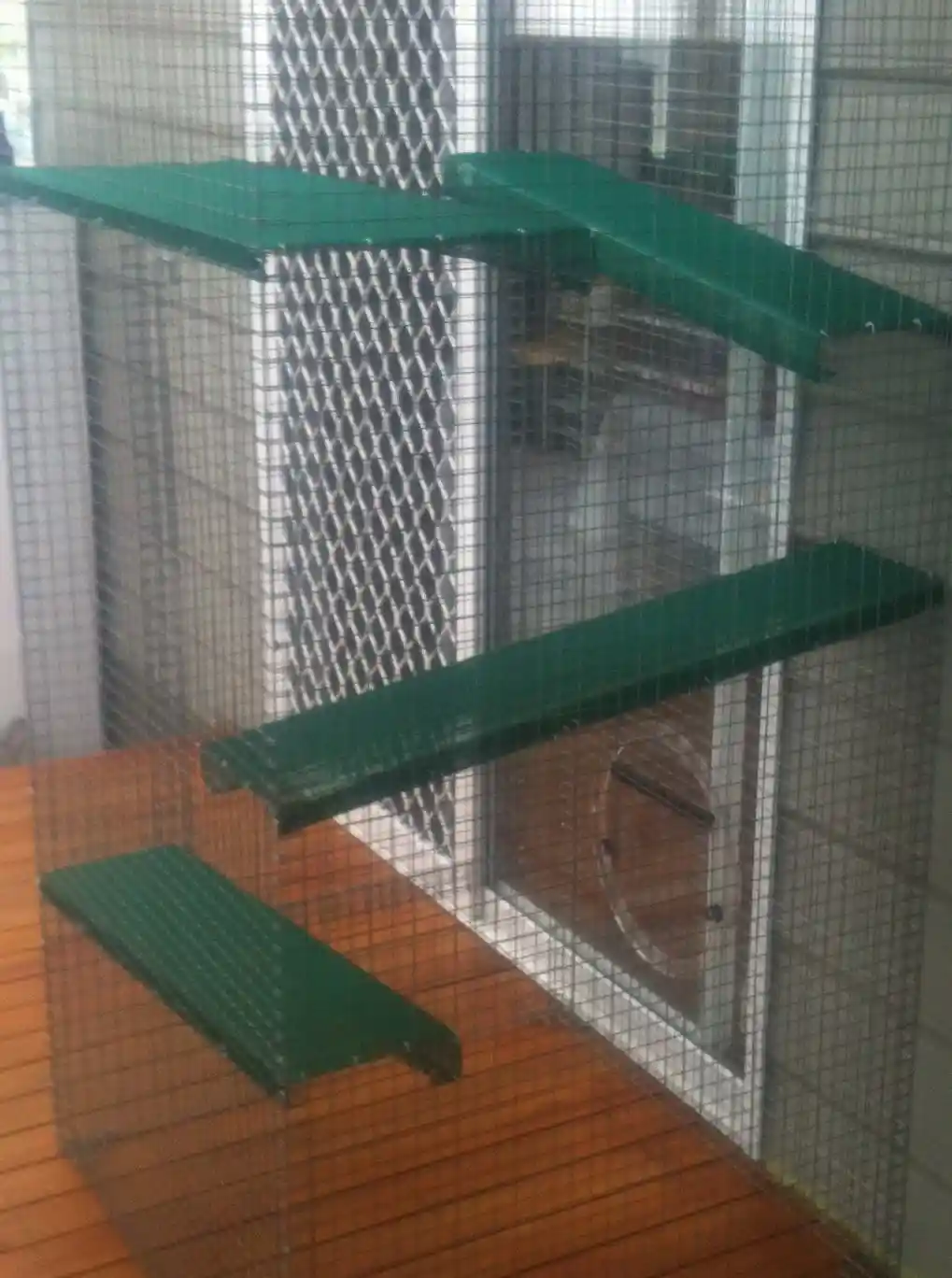 day beds and steps for enclosures