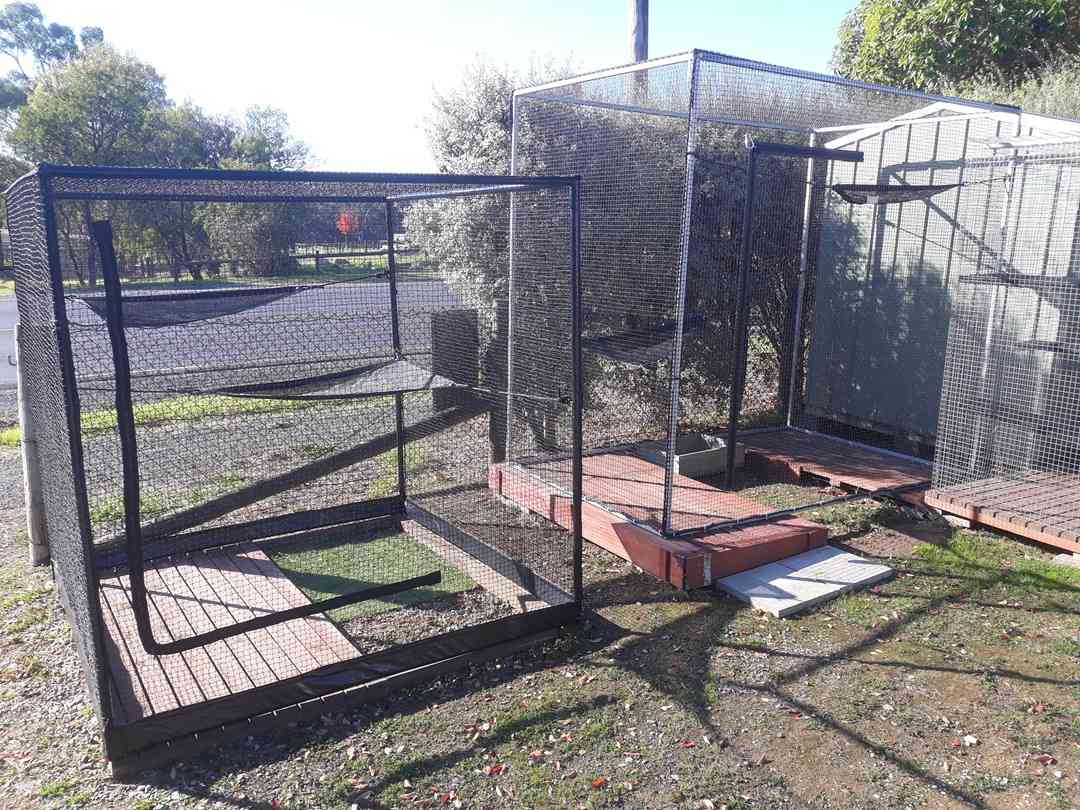 netting cat enclosures