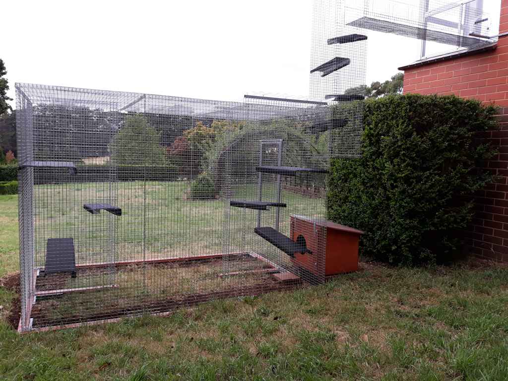 palace extra large enclosure and tunnel